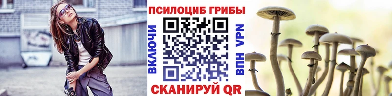что такое наркотик  Ярославль  Галлюциногенные грибы GOLDEN TEACHER 