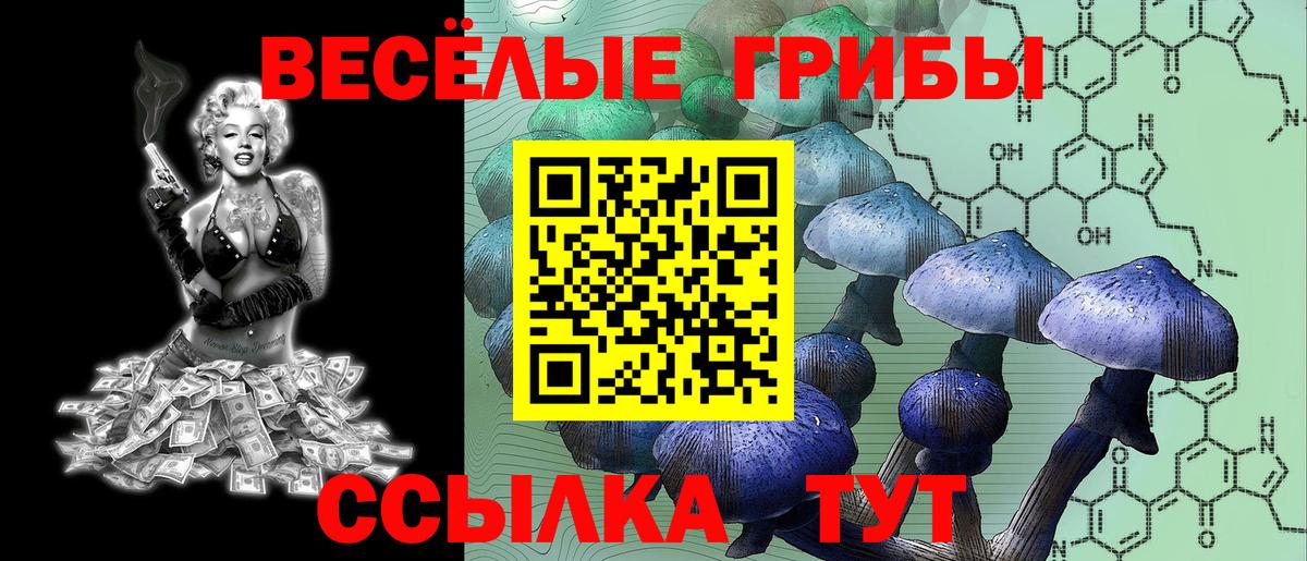 купить наркоту  Вход с VPN  Ярославль  Псилоцибиновые грибы мухоморы 